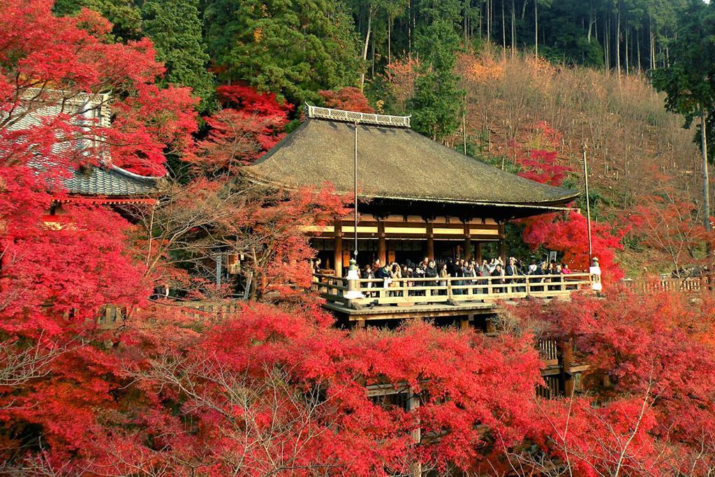 فيلا Rin Kyoto Kinkaku-Ji Temple المظهر الخارجي الصورة