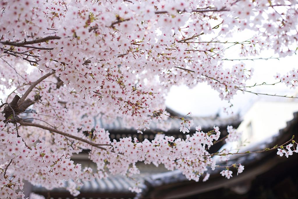 فيلا Rin Kyoto Kinkaku-Ji Temple المظهر الخارجي الصورة